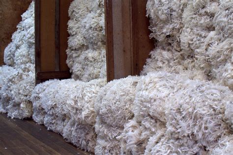 Merino Magic: The Softest Chinky Wool You'll Ever Feel